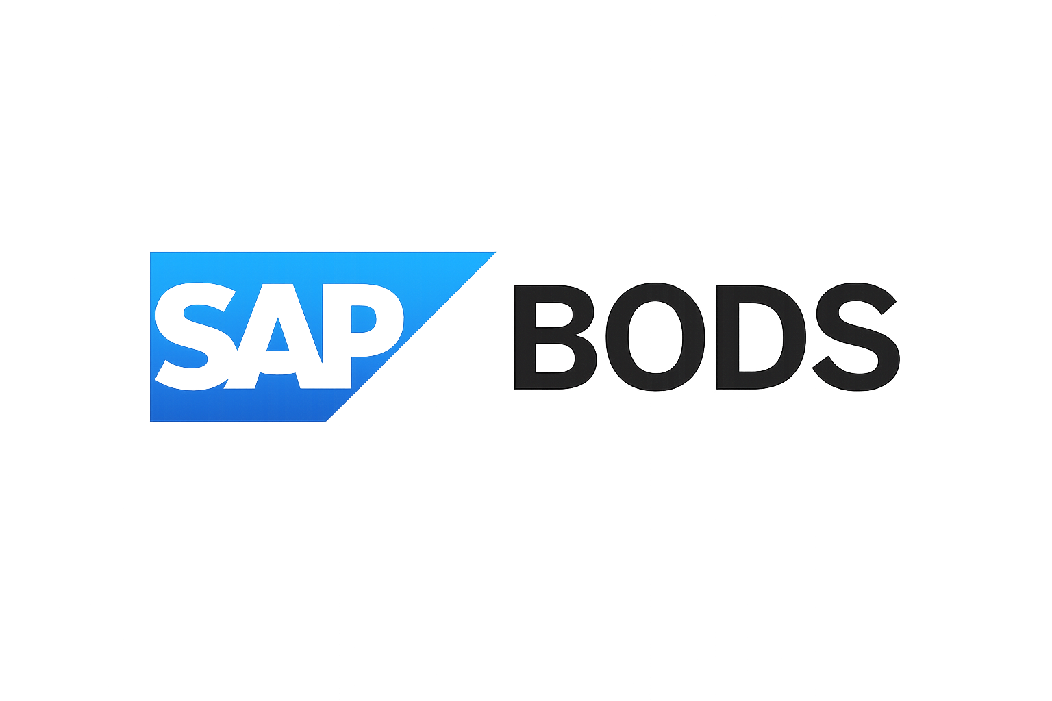 SAP BODS Platform Illustration